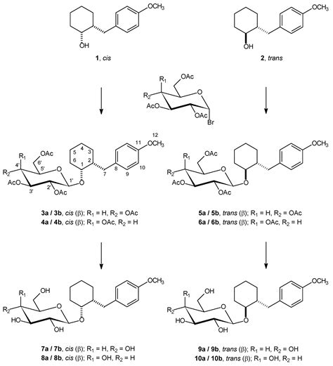 Molecules Free Full Text Koenigs Knorr Synthesis Of Cycloalkyl