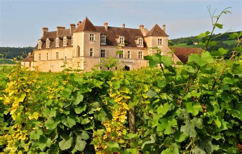 4d3n Spectacular Wines Of Burgundy Tour From Beaune