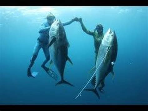 Blue Water Hunting HD Big Tuna Hunter YouTube