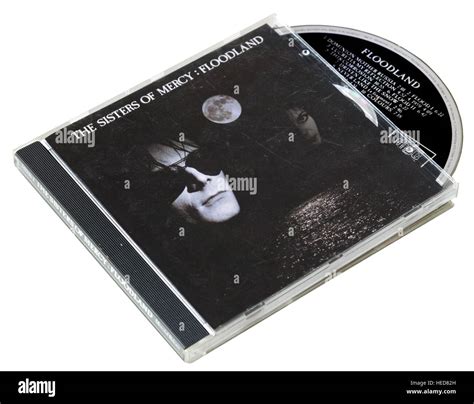 The Sisters of Mercy Floodland CD Stock Photo - Alamy