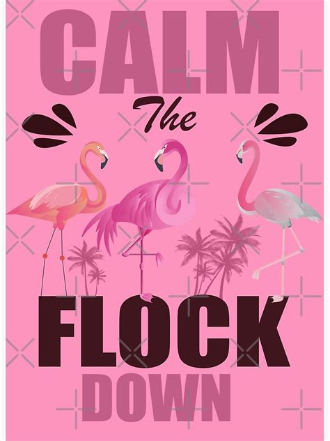 Calm The Flock Down Funny Pink Flamingo Poster By Lajivrt Style