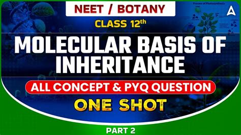 MOLECULAR BASIS OF INHERITANCE IN ONE SHOT CLASS 12 ALL CONCEPT