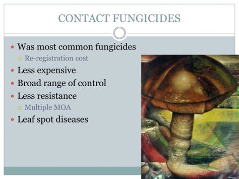 Ppt Fungicides Powerpoint Presentation Free Download Id5109224