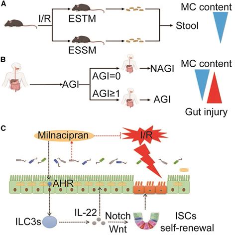 Cell Reports Medicine