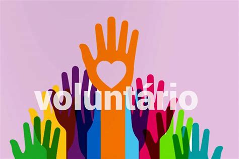 5 De Diciembre Día Internacional De Los Voluntarios Cactus24