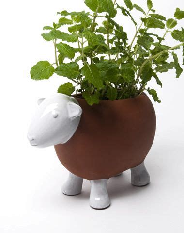 Love It Herb Pots Terracotta Herb Planters Herb Planters