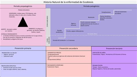 Historia Natural De La Enfermedad