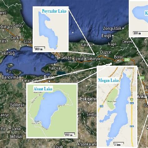 Investigated freshwater lakes | Download Scientific Diagram