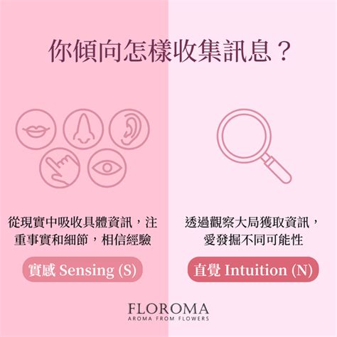 【分析你的性格特質】四條問題看出你的mbti！ Floroma 花之滴