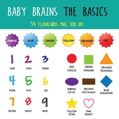 54 Baby Brains the Basics Flashcards Set - Etsy