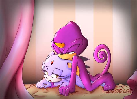 Rule 34 Blaze The Cat Breasts Espio The Chameleon Grabbing Sheets