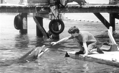 Flipper 1996