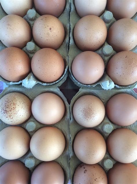 Monmouth Town Markets | Monmouth