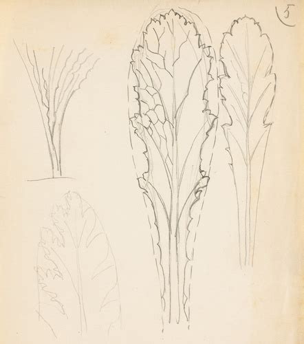 Feuille de pavot Eugène Grasset Musée d Orsay