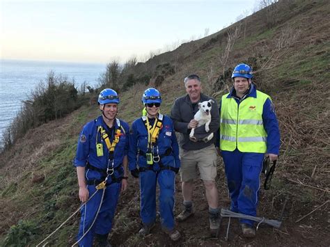 Coastguard Crews Rescue Dog Following Cliff Fall We Are South Devon