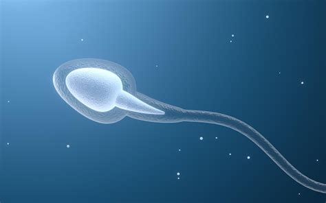 Premium Photo Human Sperm Cells D Rendering