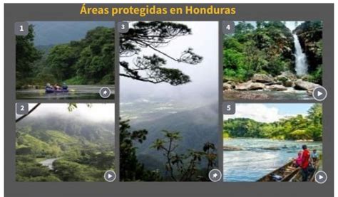 Principales Reservas Protegidas De Honduras