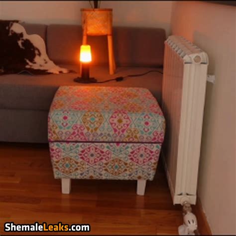 Vixenp Officialvixenv Leaked Nude OnlyFans Photo 601 ShemaleLeaks