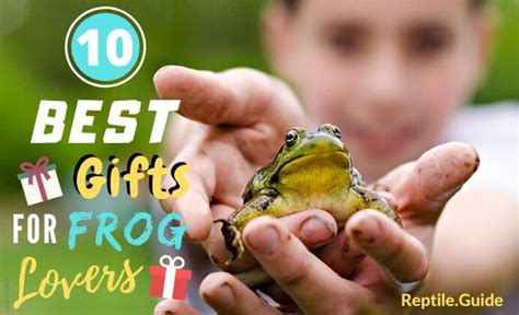 10 Of The Best Ts For Frog Lovers In Your Life Children And Adults