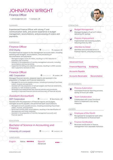 Finance Officer Resume Examples Guide For