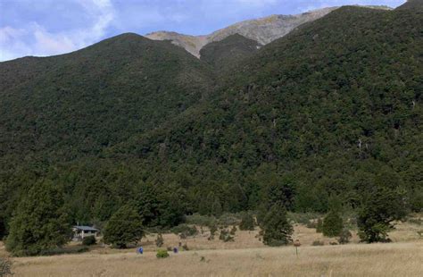 Nelson Lakes National Park Cut Lunch Adventures