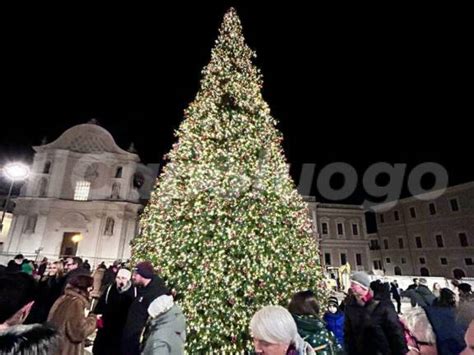 L Aquila Acceso L Albero Di Natale In Piazza Duomo Il Capoluogo