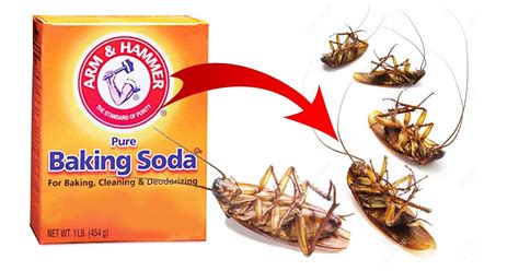 How To Get Rid Of Cockroaches With Baking Soda Diy Natural Products Baking Soda Benefits