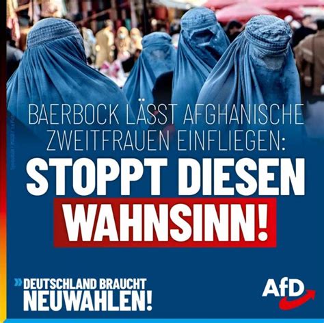 Baerbocks Feminismus Vielehe Wird Salonf Hig Gemacht Afd Zweibr Cken