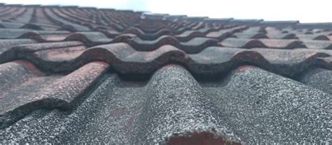 Stay Dry And Secure The Ultimate Guide To Roof Waterproofing And Repairs