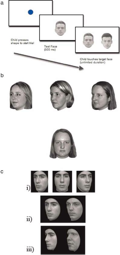 Examples Of Face Recognition Tasks From Session 1 A Sequential Face