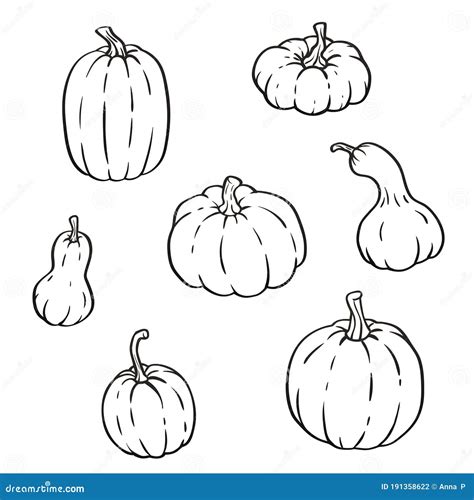 Conjunto Aislado Vectorial Con Varios Lineales De Calabazas