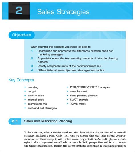 12+ Sales Strategy Templates - DOC, PDF | Free & Premium Templates