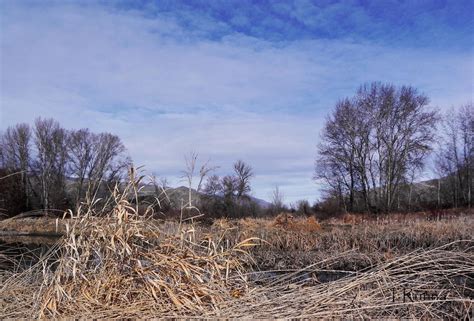 winter kill  trunna  deviantart