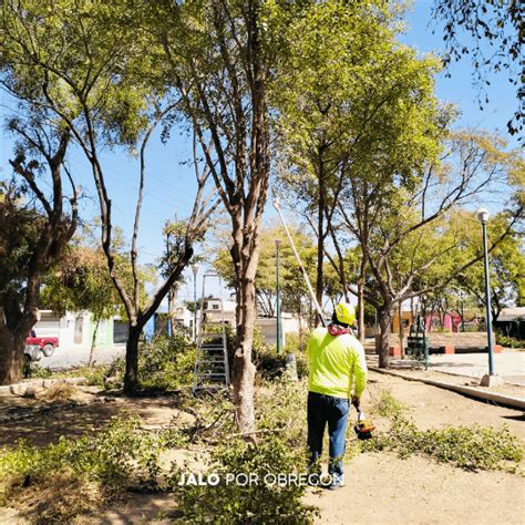 Brigada De Limpieza Colonia Las Espigas