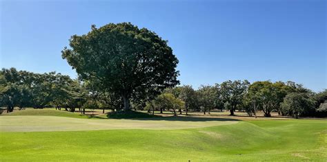 Lusaka Golf Club Takes Steps To Create Its Sustainable Future Geo