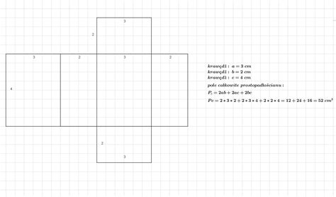 Narysuj Siatk I Oblicz Pole Powierzchni Prostopad O Cianu O Wymiarach