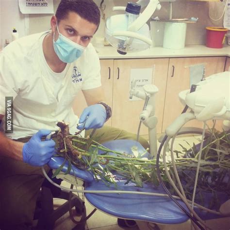 A Successful Root Canal Treatment 9GAG