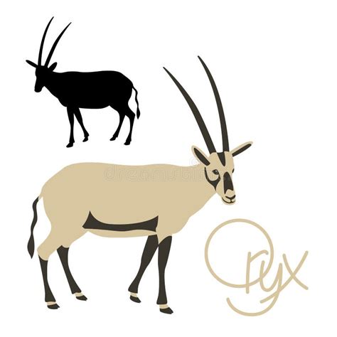 Gemsbok Stock Vector Illustration Of Safari Oryx Alone 29192112