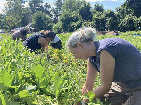 Inside Mill City Grows - InsideLowell