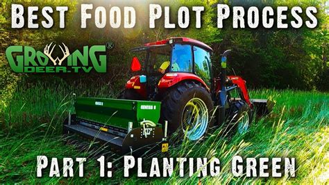 How To Plant The Best Food Plot Planting Green Part 1 706 YouTube