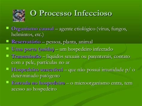 Aula O Processo Infeccioso Cl Ii