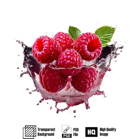 Raspberry Fruit Splash Isolated On Transparent Background Premium AI