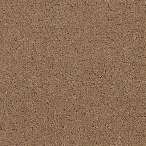 Home Decorators Collection Adalida River Rock Beige 40 Oz SD