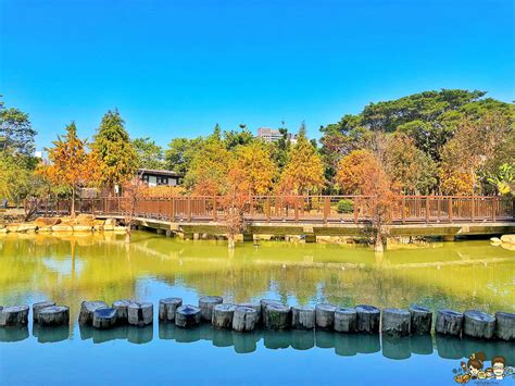 高雄市區最美落羽松景緻，凹子底公園，湖泊倒影、療癒美景 跟著尼力吃喝玩樂＆親子生活