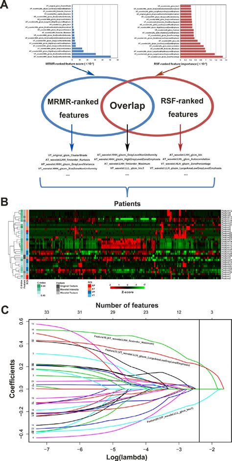 Integrated Machine Learning Framework For Radiomic Feature Selection Download Scientific