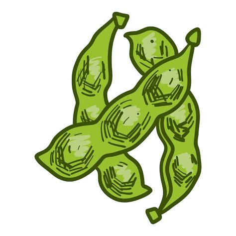 Symbol für grüne Sojabohnen Handgezeichnete Illustration des