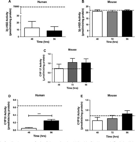 Validation Of Murine And Human Placental Explant Cultures For Use In