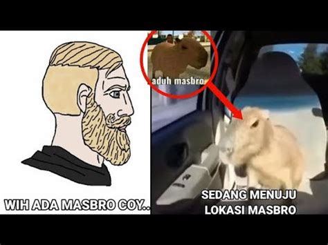 KETIKA MELIHAT HEWAN CAPYBARA YANG DIPIKIRKAN COWOK MASBRO YouTube