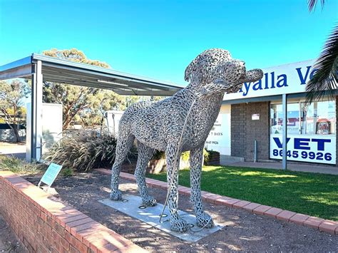 The 15 Best Things To Do In Whyalla 2023 With Photos Tripadvisor