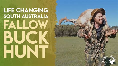 Dangerous Hubris And A Life Changing Fallow Buck Hunt In South Australia